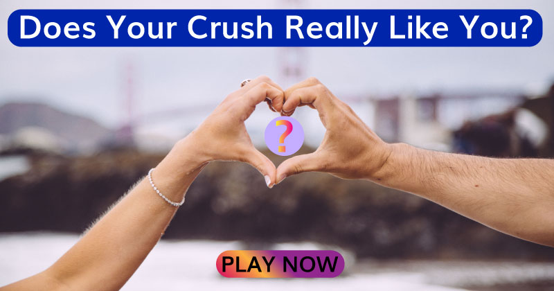 Does Your Crush Really Like You?